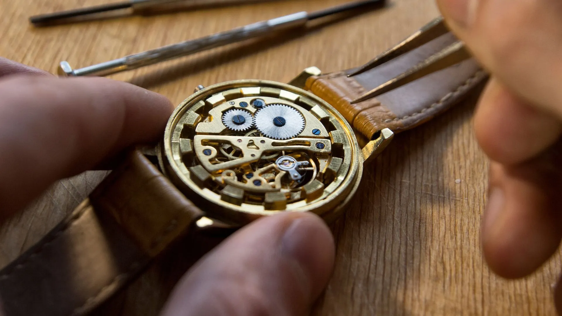 Shop Our New Collection